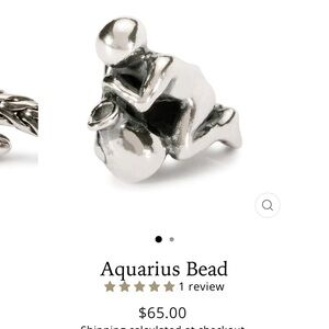 Trollbeads Silver Aquarius Charm